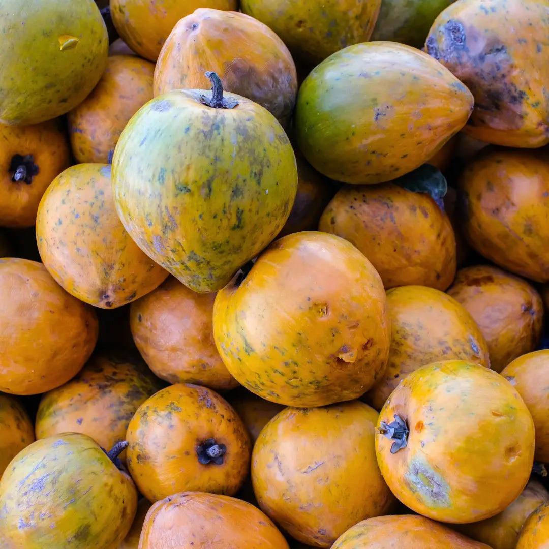 lucuma fruit